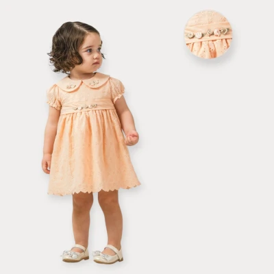 BABY ROSE GÜL AKSESUARLI BRODE ELBİSE 6-18 AY